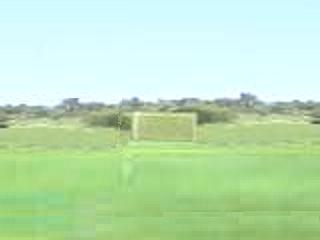 Soccer Field